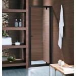 Shower Glass - Edge Series 900mm Pivot Door Black